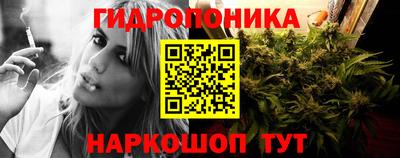 индика Ангарск