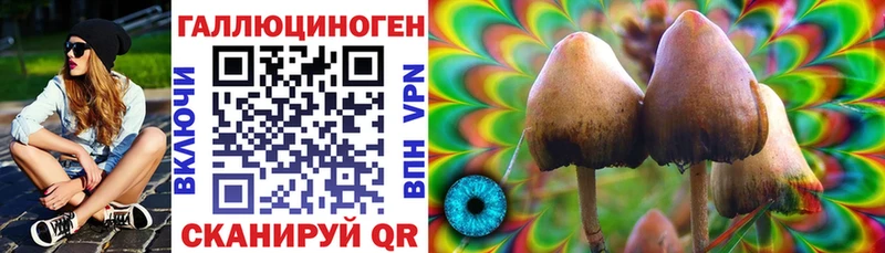 наркотики  Амурск  Псилоцибиновые грибы Magic Shrooms 